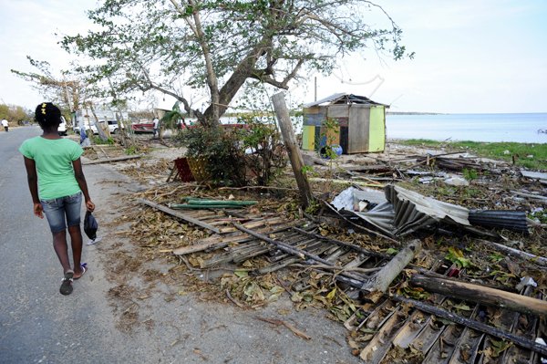 Ricardo Makyn/Staff Photographer 
A female walks by  a fence that was blown down in Manchioneal Portland  during  the passage of Hurricane Sandy