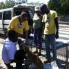 Jamaica Society for the Prevention of Cruelty to Animals ambulance team