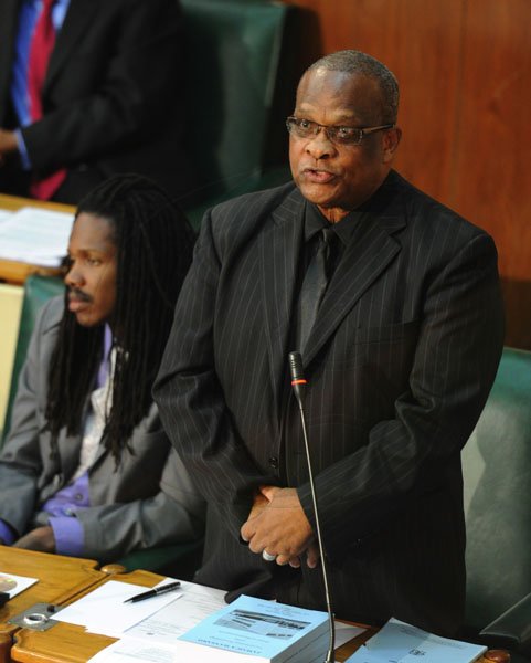 Ricardo Makyn/Staff Photographer
Parliament on Tuesday 10.7.2012