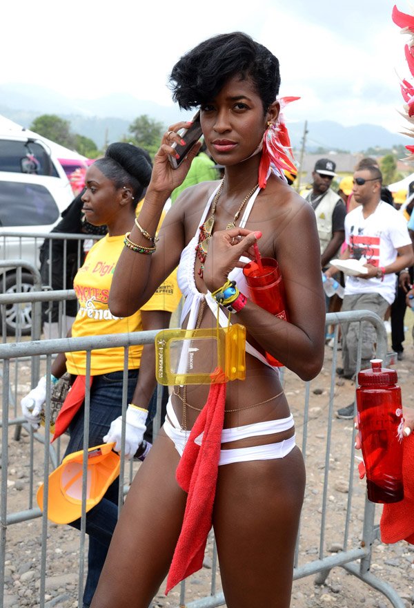 Winston Sill/Freelance Photographer
Bacchanal Jamaica Road Parade, from Mas Camp, Stadium North to Half Way Tree and back, held on Sunday April 27, 2014.