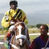 ColinHamilton/Freelance Photographer
Horseracing at Caymanas Park on Saturday July 14, 2012.