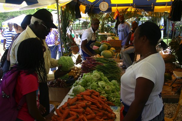Christopher Serju/Gleaner Writer
Denbigh - Labour minister Pearnel Charles checks out a head of cabbage at the farmers? market.