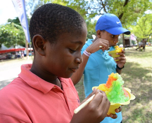 Ian Allen/Photographer
Jhaheim Jackson left and Justin Campbell right enjoys some Sluch while attending the Lasco Family Extravaganza at Hope Gardens on Boxing Day.