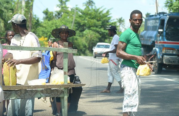 Ian Allen/Staff Photographer
Fruit Vendors along the Linstead Bypass tries to sell fruits to passing motorists.