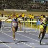 Gladstone Taylor / Photographer

Hansel Parchment places first 110m hurdles at the jamaica invitationals