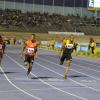 Gladstone Taylor / Photographer

Jazeel Murphy

100m mens development.

 Jamaia Invitational