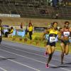 Gladstone Taylor / Photographer

Womens development 100m dash

Elaine Thompson (157), Natasha Morrison (114) and Nadine Palmer (123)