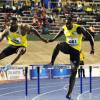 Ian Allen/Staff Photographer
Jamaica Invitational 2014 Track and Field Meet at the National Stadium.