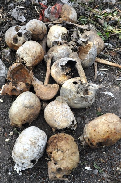Norman Grindley/Chief Photographer
As the May Pen cemetery in Kingston are getting a well needed clean-up, human bones are now visible. The bones are scattered all over the paupers section of the cemetery.
