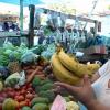Ian Allen/Staff Photographer
fruit and Vegetable Vendor in Port Antonio Market.