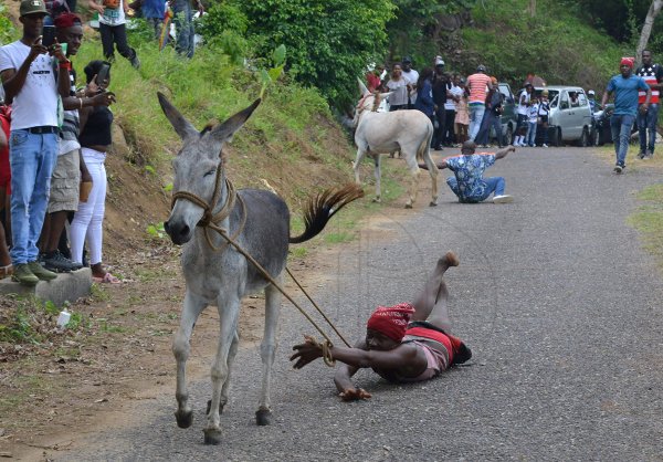 Annual Donkey Race in Top Hill