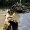 Ricardo Makyn/Staff Photographer
 Heavy rainfall caused the Rio Cobre to dump debris  on the Flat Bridge. The heavy rains have been lashing the island since last week.