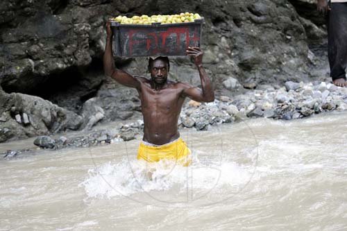 Ricardo Makyn/Staff Photographer
Noel Folkes makes his way across the Yallahs River with his tomatoes in the Orange Tree  District of Llandewey in St Thomas, where  residents had to walk through the river or use a steel cable to make their way across.