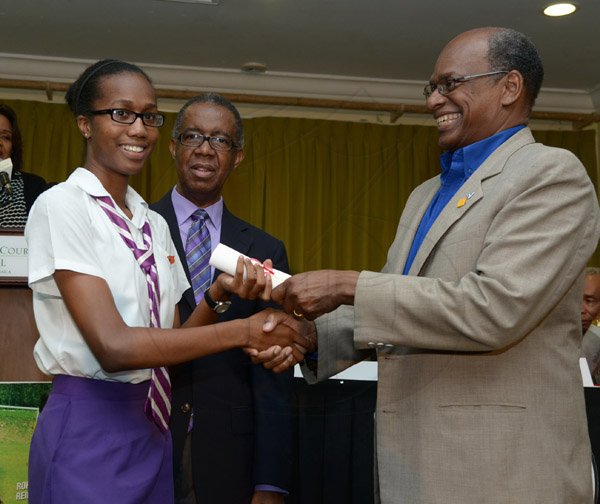 Ian Allen/Staff Photographer
National Road Safety Council(NRSC) Road Safety Poster Competition 2014 Awards Ceremony at the Knutsford Court Hotel in Kingston.