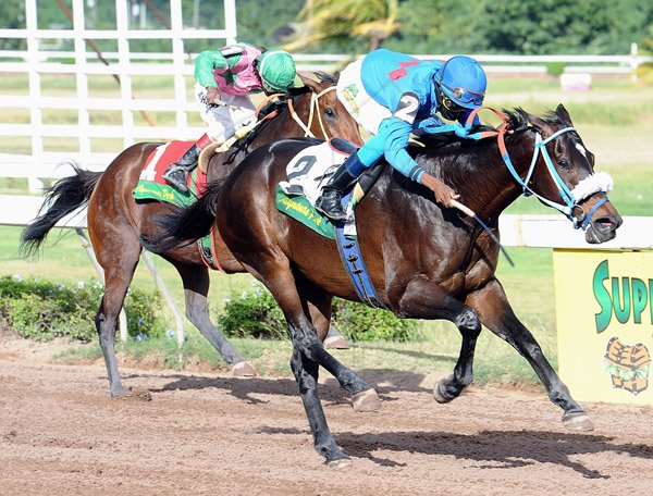 Ian Allen/Photographer
Perfect Neighbour left ridden by Jockey L.Steadman getting the better of Long Running Train right, ridden by Aaron Chatrie in the (7th) 53rd Running of the Harry Jackson Memorial Cup on Boxing Day at Caymanas Park.