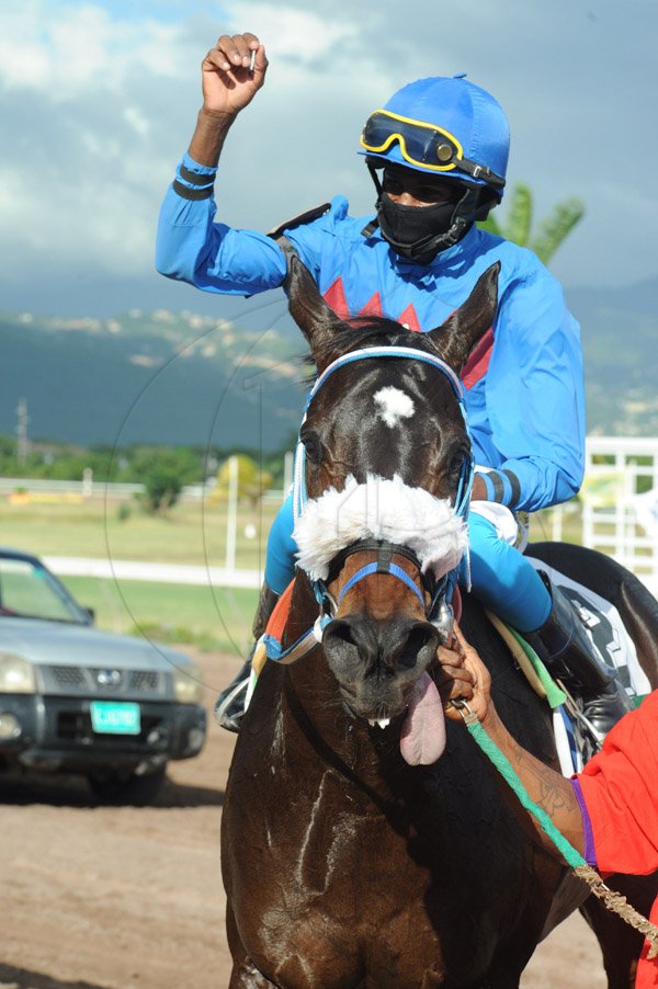 Ian Allen/Photographer
Jockey L.Steadman aboard Perfect Neighbour been led to the winners enclosurer after winning the (7th) 53rd Running of the Harry Jackson Memorial Cup at Caymanas Park on Boxing Day.