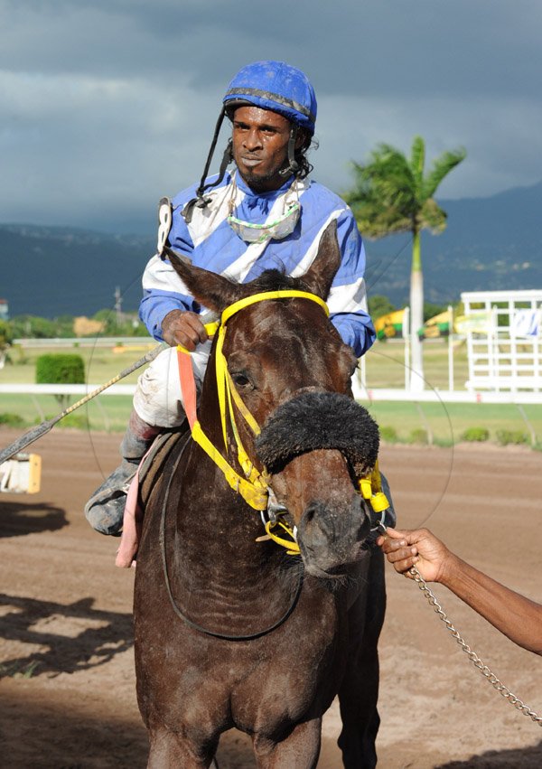 Ian Allen/Photographer
Brawn ridden by Jockey Aaron Chatrie winning the (8th race) The Super Lotto"Become A Super Millionaire" Trophy over 1500 metres at Caymanas Park on Boxing Day.