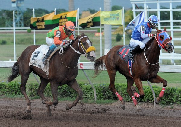 Ian Allen/Photographer
Abbey Road left ridden by Jockey O.Edwards getting the better of Turbo Machine Cat right, ridden by Jockey Robert Mitchell to win the 9th race sponsored by Top Draw "Million Jackpot Every Day" Trophy for 3-Y-O over 1700 metres at Caymanas Park on Boxing Day.