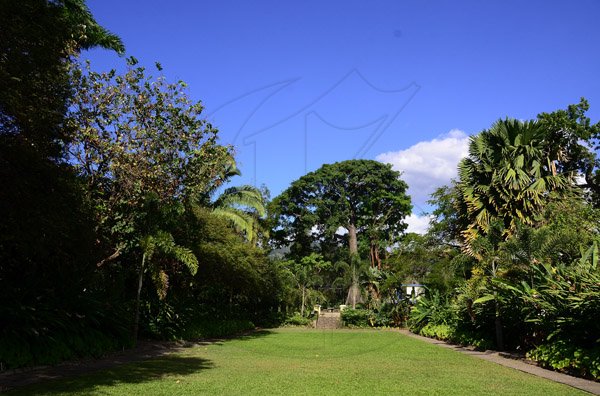 Gladstone Taylor / Photographer

Hope gardens island gem feature