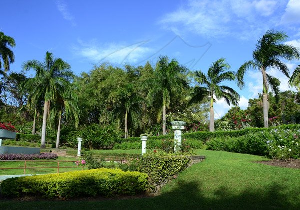 Gladstone Taylor / Photographer

Hope gardens island gem feature