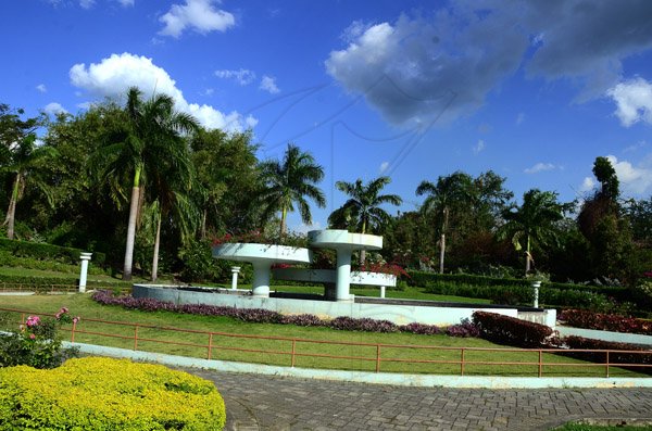 Gladstone Taylor / Photographer

Hope gardens island gem feature