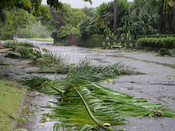 Ian Allen/Photographer
Section of Hope Botanical Gardens after the passage of Hurricane Sandy.