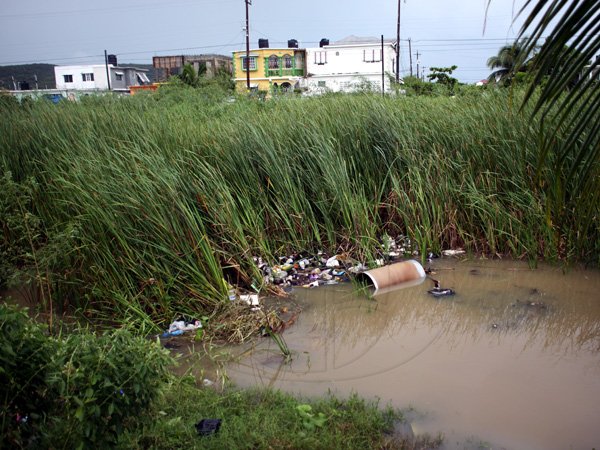 Anthony Minott/Freelance Photographer
overgrowth, water and garbage are a eyescore in a big drain across from Braeton Meadows after the passage of Hurricane Sandy in Portmore, St Catherine last Thursday. Residents claim that a crocodile was seen in this drain, during the Passage of Hurricane Sandy last Wednesday.