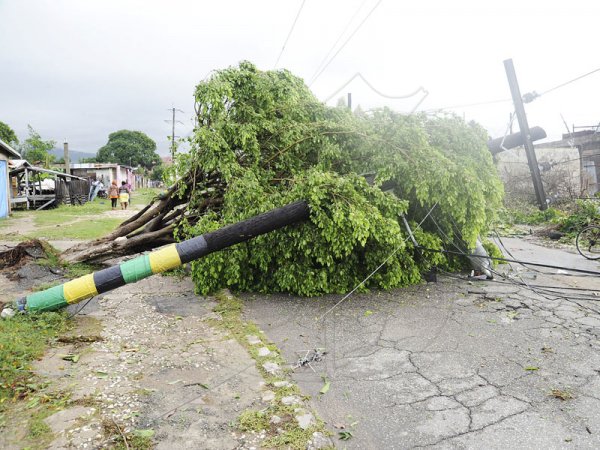 Norman Grindley/Chief Photographer
Falling JPS pole on Olympic Way in Water house St. Andrew.