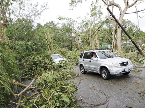 Ricardo Makyn/Staff Photographer
A fallen Trees  on the Stony Hill main road St Andrew