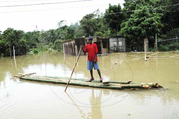 Photo  by Barrington Flemming


RAFTING ON THE....:  This resident of Copperwood in South St. James popularly called Willie built a bamboo raft which he used to transport people from one point to the next in the community after flood waters from the heavy rains which have been pelting the island rose to more than 25 feet submerging more than three houses. The structure in the background is still under construction and would house a commercial interest as well as house the owners.