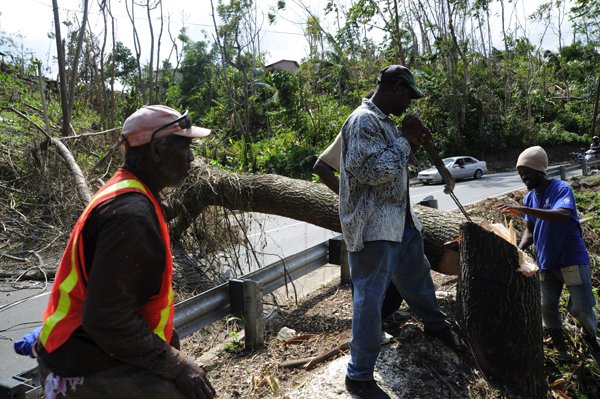 Ricardo Makyn/Staff Photographer 
 Workmen do thier best to get the Tree out of the road in Black Hill portland that was blocking the main road