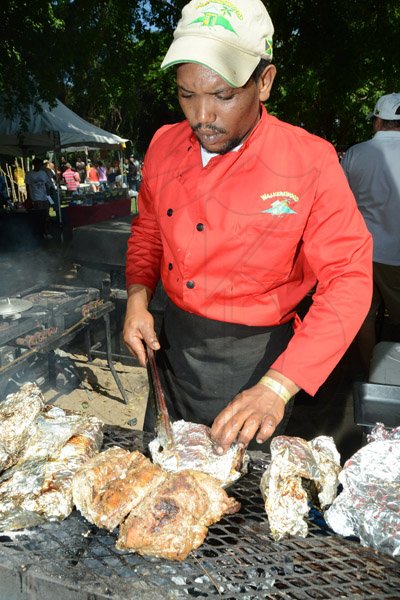 Rudolph Brown/Photographer
All Jamaica Grill Off at Hope Gardens on Sunday, June 9, 2013