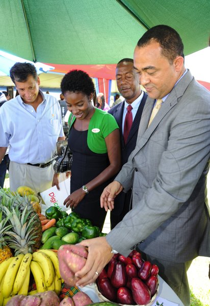 Ricardo Makyn/Staff Photographer
From left Christopher Levy President and Chief Executive Officer Jamaica Broilers Group,Tahnida Nunes Sponsorship Manager Digicel with Glendon Harris J.P President Jamaica Agricultural Society and Minister of Agriculture The Hon Christopher Tufton  at the launch of Denbigh 2011 that was held on the lawns of Ace Supercentre White Marl St Catherine on Tuesday 21.6.2011
