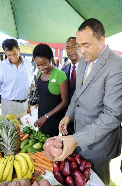Ricardo Makyn/Staff Photographer
From left Christopher Levy, president and chief executive officer, Jamaica Broilers Group, and Tahnida Nunes, sponsorship manager, Digicel; examine fruit and vegetables on display with Glendon Harris, president of the Jamaica Agricultural Society and Minister of Agriculture Dr Christopher Tufton during yesterday's launch of Denbigh 2011 on the lawns of Ace Supercentre in White Marl, St Catherine.