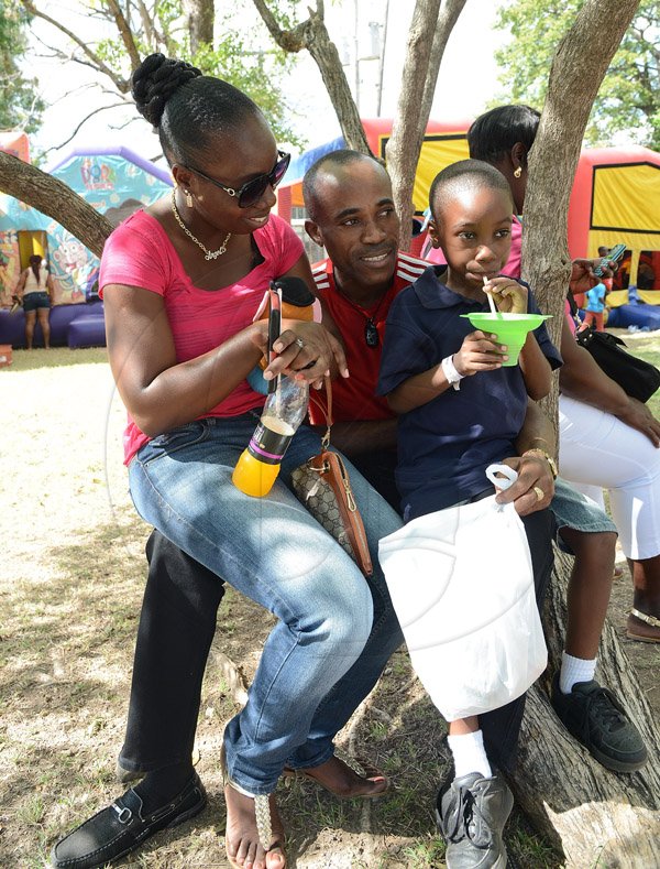 Ian Allen/Photographer
Courtney Palmer centre balanced Nathalie Taylor left and son Hasani-Milan, members of his family on his legs while sitting on the trunk of a tree while attending the Lasco Family Extravaganza at Hope Gardens on Boxing Day 2015.