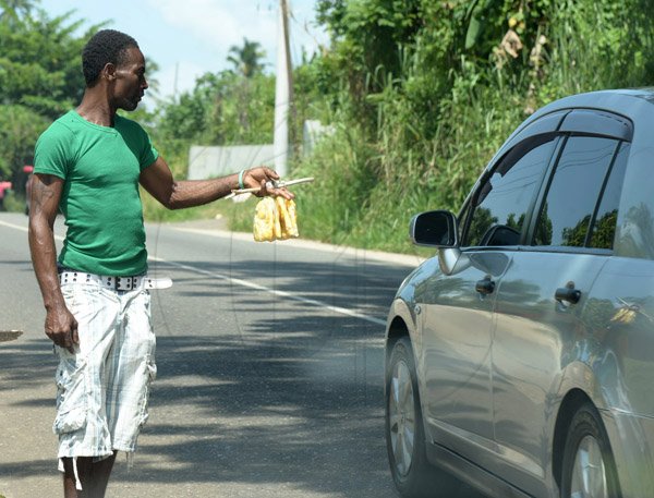 Ian Allen/Staff Photographer
Fruit Vendors along the Linstead Bypass tries to sell fruits to passing motorists.