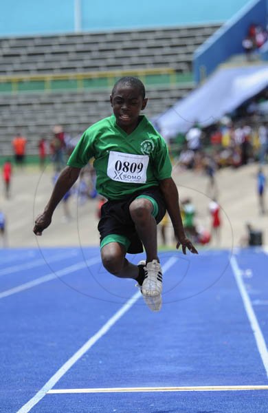 Ricardo Makyn/Staff Photographer
Junior High Schools track and field Championsips  2012 at the National Stadium day one at the National Stadium on Thursday 19.4.2012