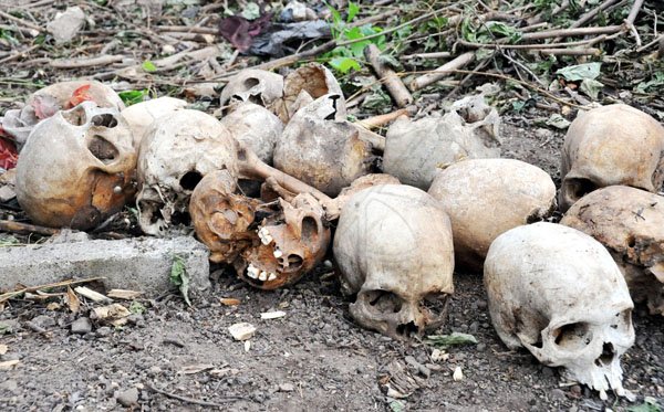 Norman Grindley/Chief Photographer
Some of the skulls which littered the grounds of May Pen Cemetery when The Gleaner visited on Wednesday.

As the May Pen cemetery in Kingston are getting a well needed clean-up, human bones are now visible. The bones are scattered all over the paupers section of the cemetery.