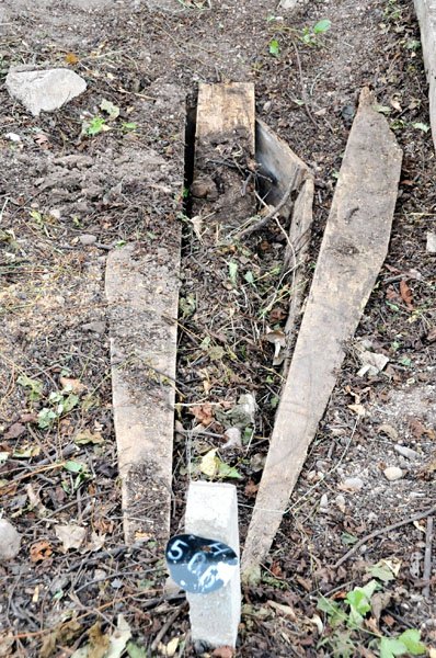 Norman Grindley/Chief Photographer
As the May Pen cemetery in Kingston are getting a well needed clean-up, human bones are now visible. The bones are scattered all over the paupers section of the cemetery.