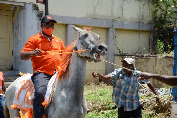 Riding a horse decorated in orange was Dr Desmond Brennan, PNP candidate for Clarendon North Central, from the vicinity of his constituency office on to Main Street Chapelton on August 18, 2020.