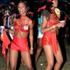 Winston Sill/Freelance Photographer
Appleton/Digicel Carnival Pon Di Road presents Pandemonium, held at Hope Gardens, Old Hope Road on Thursday night April 9, 2015.