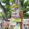 Jermaine Barnaby/Photographer
This old Mahagony tree along Main Street in St Ann's Bay is where community bills are placed a tour of parish capital, St Ann's Bay on Saturday March 21, 2014.