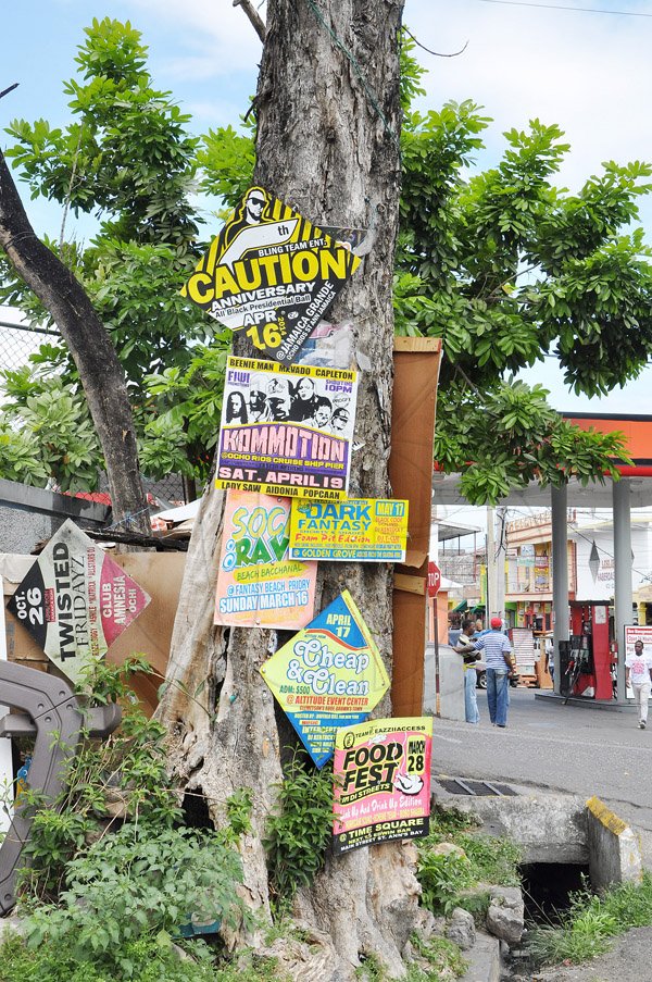 Jermaine Barnaby/Photographer
This old Mahagony tree along Main Street in St Ann's Bay is where community bills are placed a tour of parish capital, St Ann's Bay on Saturday March 21, 2014.