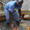 Jermaine Barnaby/Photographer
Kevin Chambers shows that fire can be lit on top of water in a mineral bath in Riverlane, a community in Windsor in St Ann's bay during a tour of parish capital, St Ann's Bay on Saturday March 21, 2014.