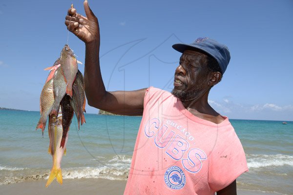 Gladstone Taylor / Photographer

Fisherman Calvin Skinner shows his freshly caught fish

Parish capital feature on Port Maria.