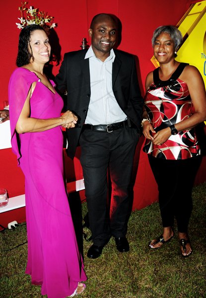 Winston Sill / Freelance Photographer
HEART Foundation  annual Wine and Food Festival, dubbed Simply Red and Wine Festival, held at Jamaica House Lawns on Friday night September 28, 2012.