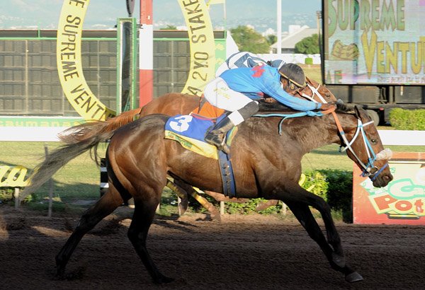 Ian Allen/Photographer
Richard Hallodeen aboard Future King(3) edging Aaron Chatrie aboard Nuclear Affair to win the 104th running of the Supreme Ventures Jamaica 2-Y-O Stakes Trophy over 1600 metres at Caymanas Park on Saturday the final Race Day of the year.