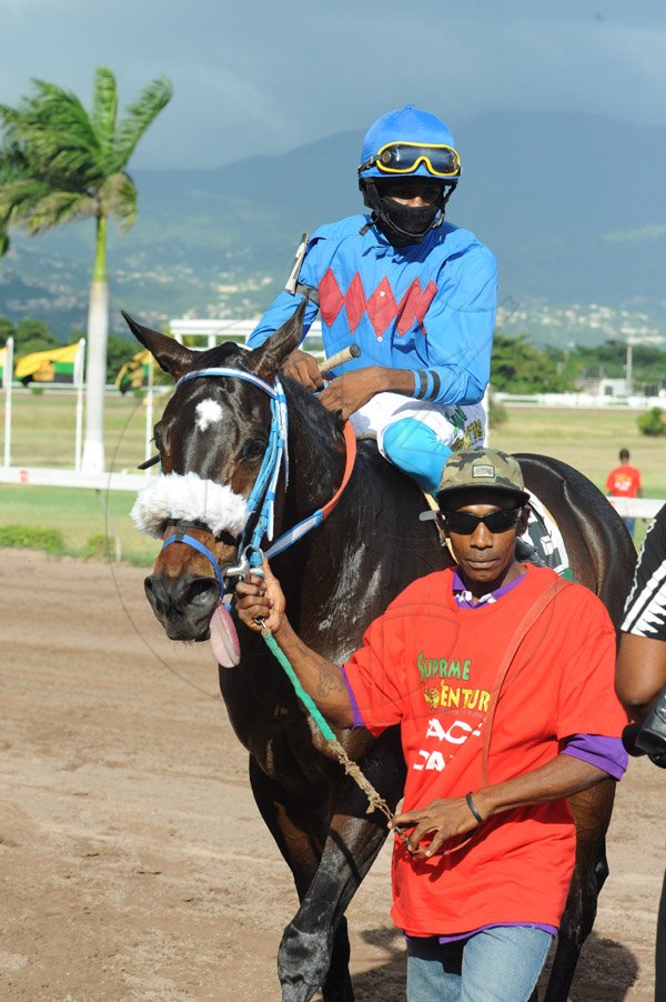 Ian Allen/Photographer
Jockey L.Steadman aboard Perfect Neighbour been led to the winners enclosurer after winning the (7th) 53rd Running of the Harry Jackson Memorial Cup at Caymanas Park on Boxing Day.
