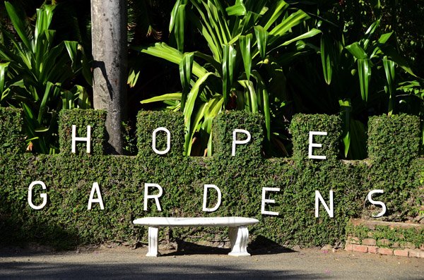 Gladstone Taylor / Photographer

Hope gardens island gem feature
