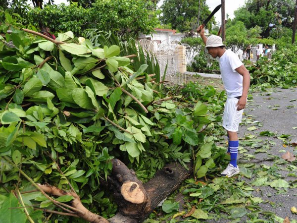 Norman Grindley/Chief Photographer
Residents cut falling tree in Maverly St. Andrew.